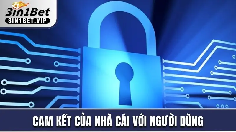 Tổng Hợp Điều Khoản & Điều Kiện 3in1bet Mới Nhất Trong Năm 3 4 cam kết của nhà cái đối với khách hàng sử dụng dịch vụ