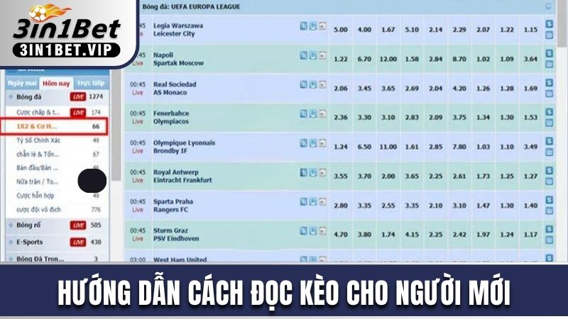 Hướng dẫn cách đọc kèo cho người mới