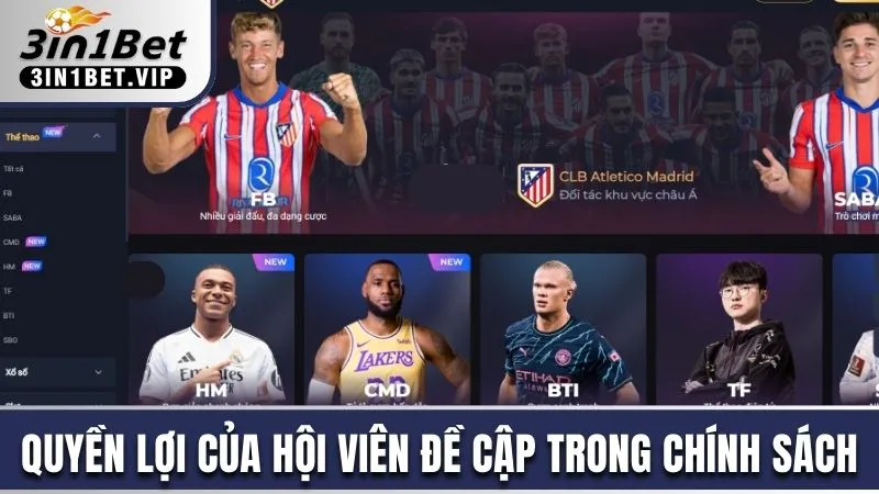 Chính Sách Bảo Mật - Quyền Lợi Và Trách Nhiệm Bạn Cần Biết 3 Quyền lợi của hội viên đề cập trong chính sách