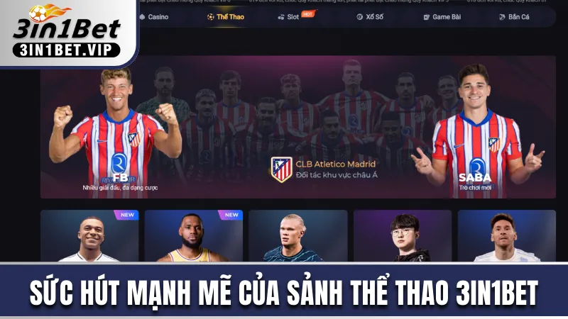 Sảnh thể thao 3in1bet hút khách nhất thị trường